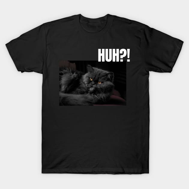 Hoodies hotsell funny designs